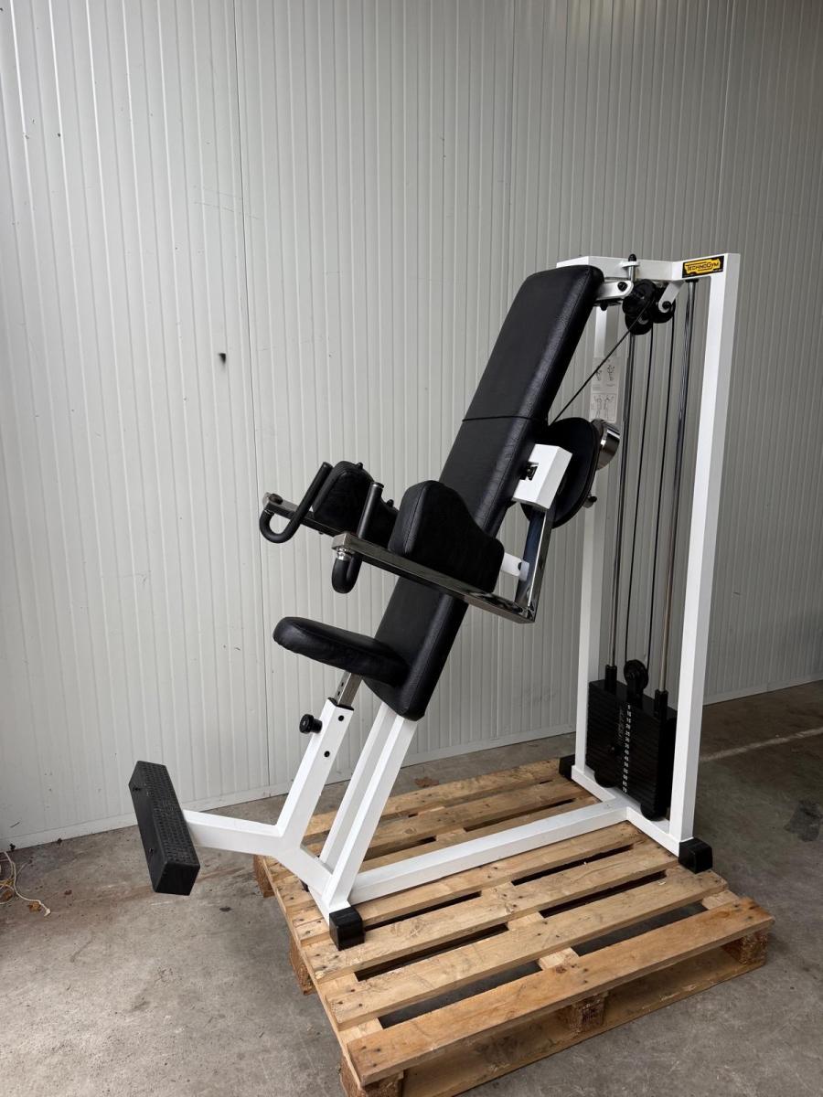 Technogym Side delt machine / seithebemaschine