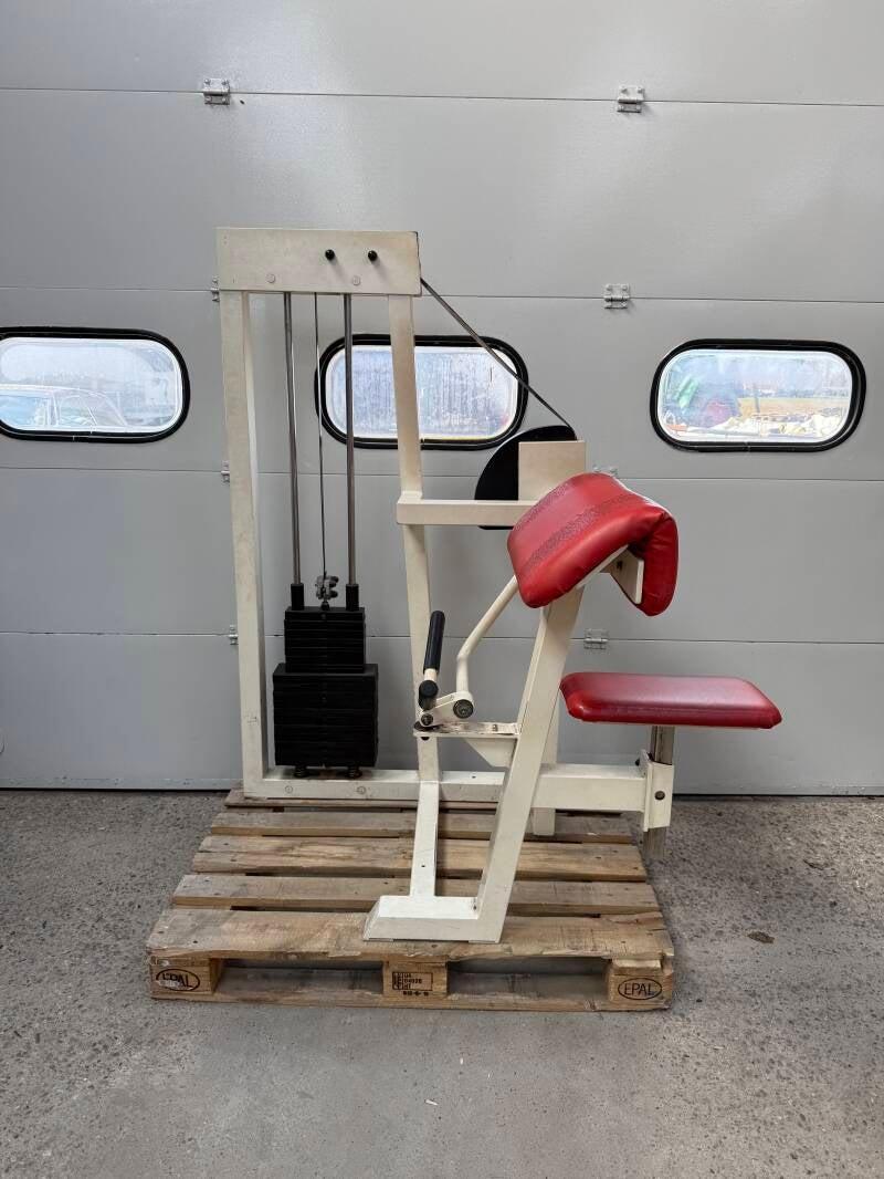 Gym 80 Bicep curl/ Biceps/ Bizeps/Bizep machine