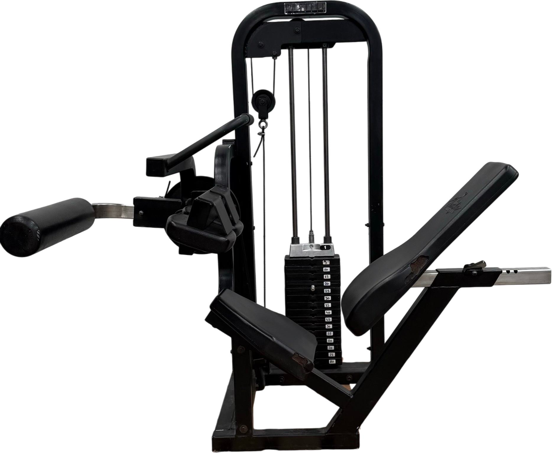 Pacific Seated leg curl/ beinbeuger/  legcurl