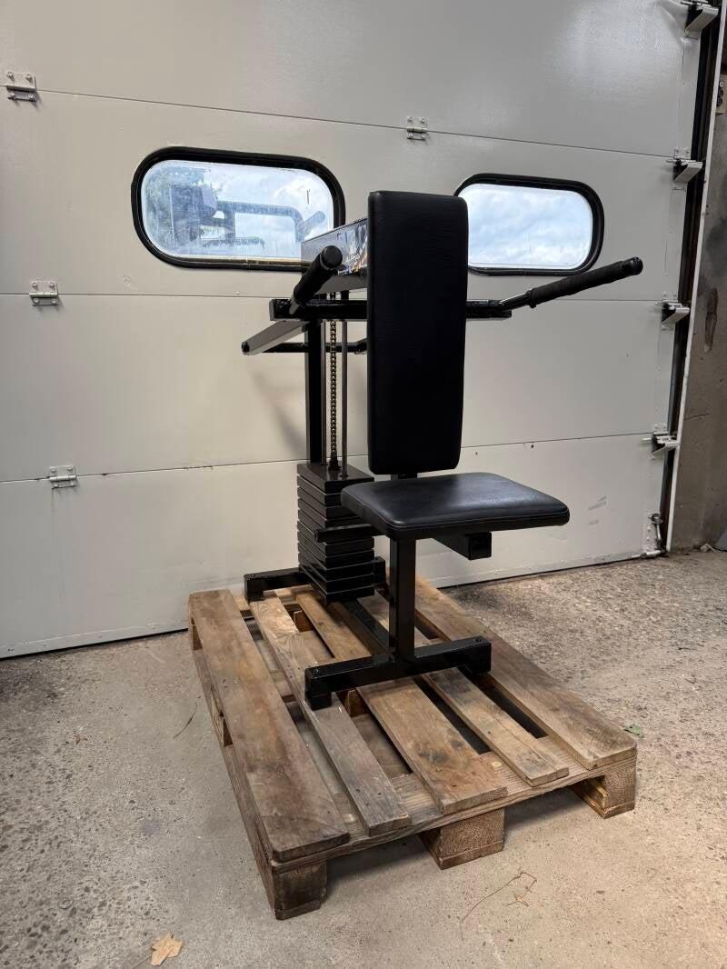 Norsk Tricep dip/ Triceps/ trizep/ trizeps/ machine