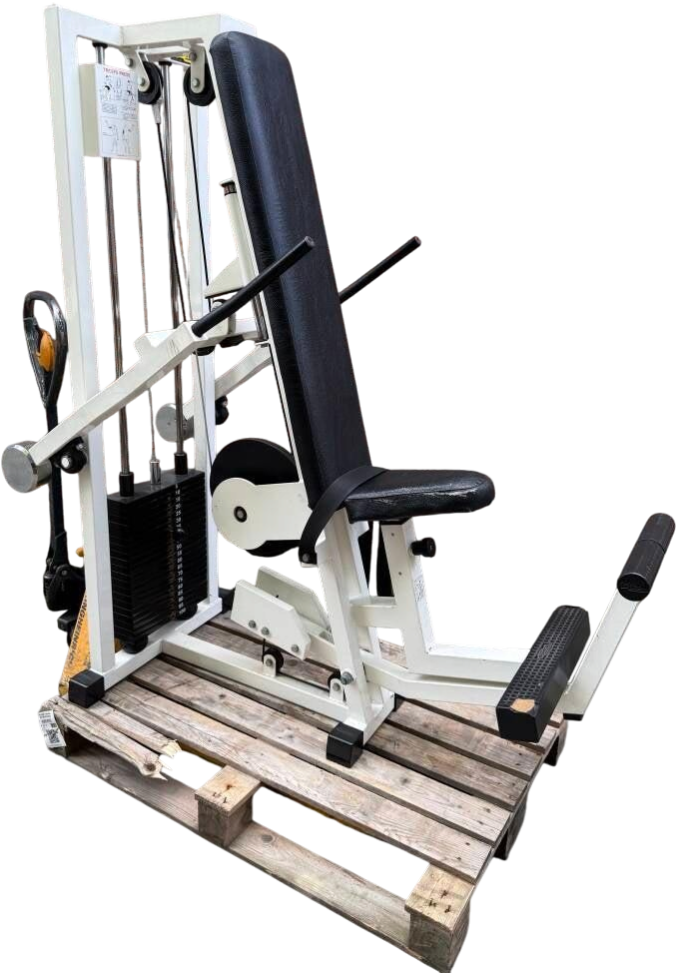Technogym tricep dip machine/ maschine/ trizeps/ trizep