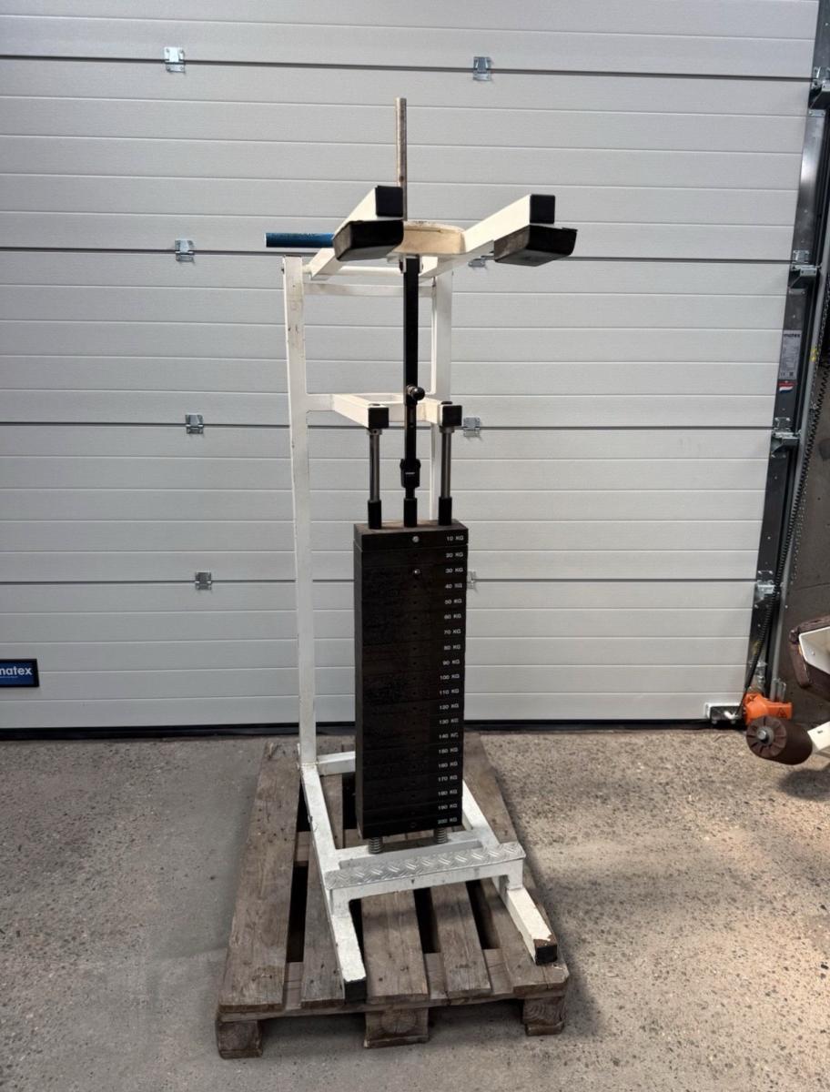 Stack loaded standing calf raise 200 kg / fitness