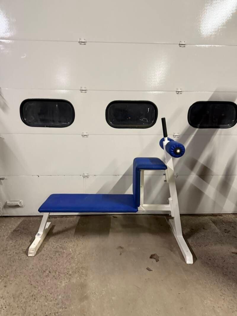 Gym 80 bauchbank/ ab trainer/ decline bench/ hantelbank