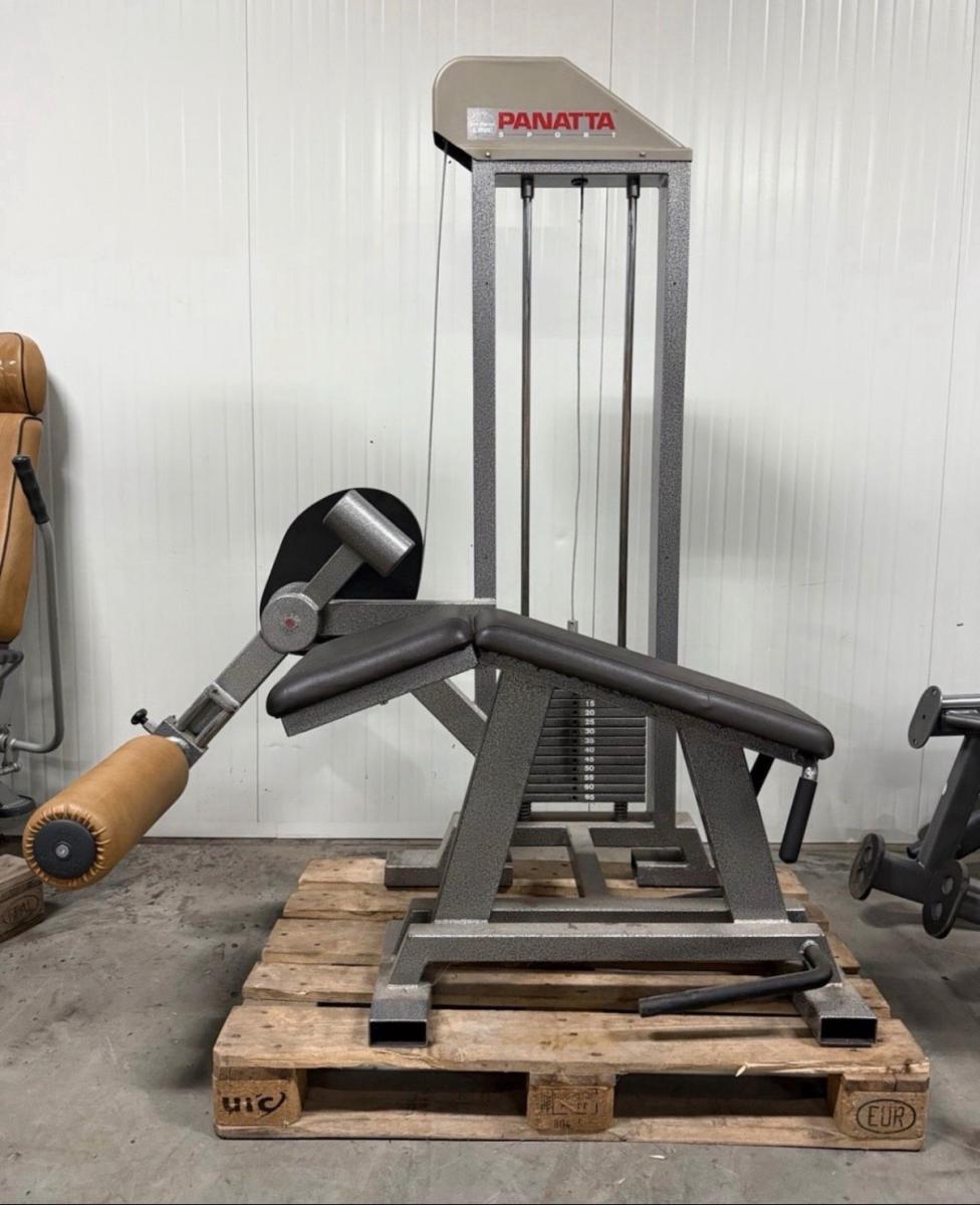 Panatta liggende leg curl / lying /beinbeuger / fitness